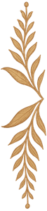 Motif Left